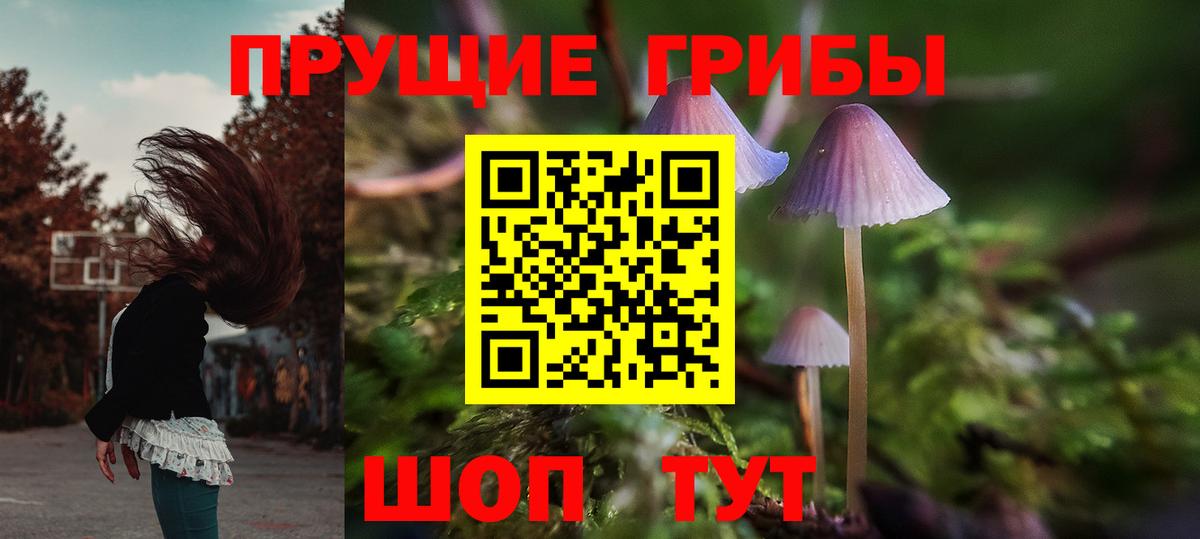 Ялуторовск  Галлюциногенные грибы мухоморы  Вход с VPN  Псилоцибиновые грибы Magic Shrooms 